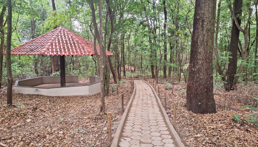 Após interdição motivada pela morte de uma criança, Prefeitura anuncia reabertura do Parque da Matinha com melhorias; confira a data e o que mudou.
