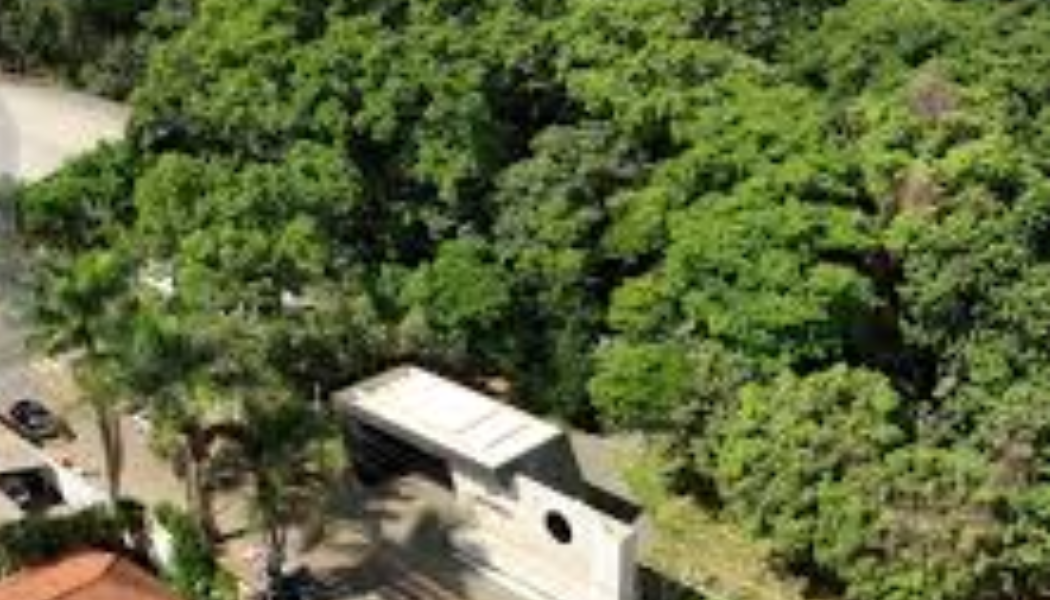 Parque da Matinha será reaberto na segunda-feira (4) com nova iluminação e sistema de monitoramento