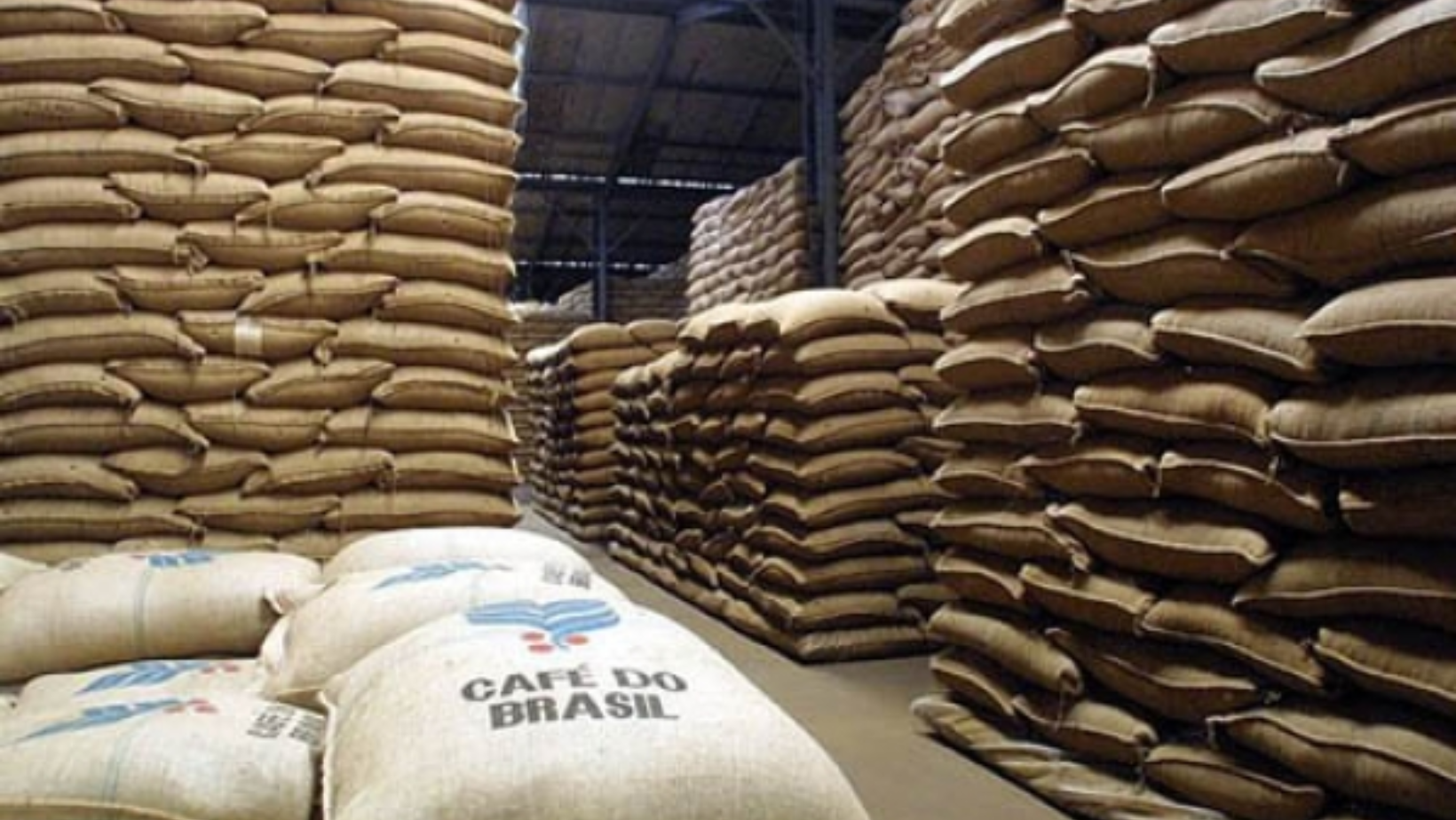Chuvas em julho afetam colheita e acendem alerta para qualidade do café no Cerrado Mineiro