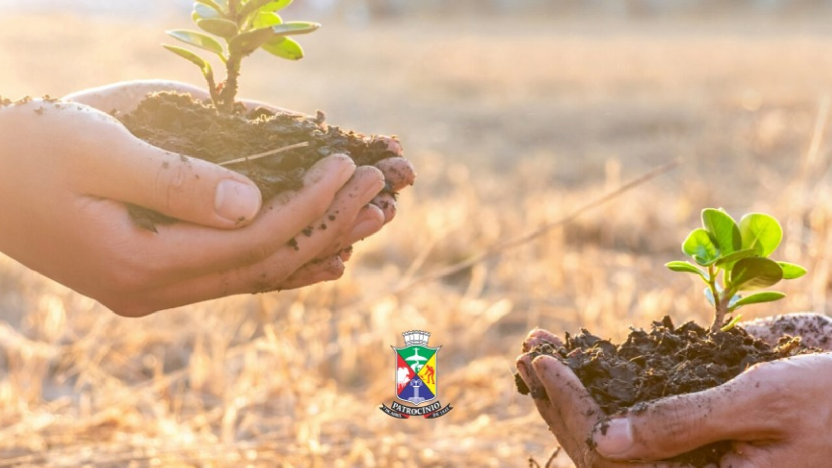 Governo Municipal amplia ações de preservação ambiental e fortalece políticas voltadas ao desenvolvimento sustentável