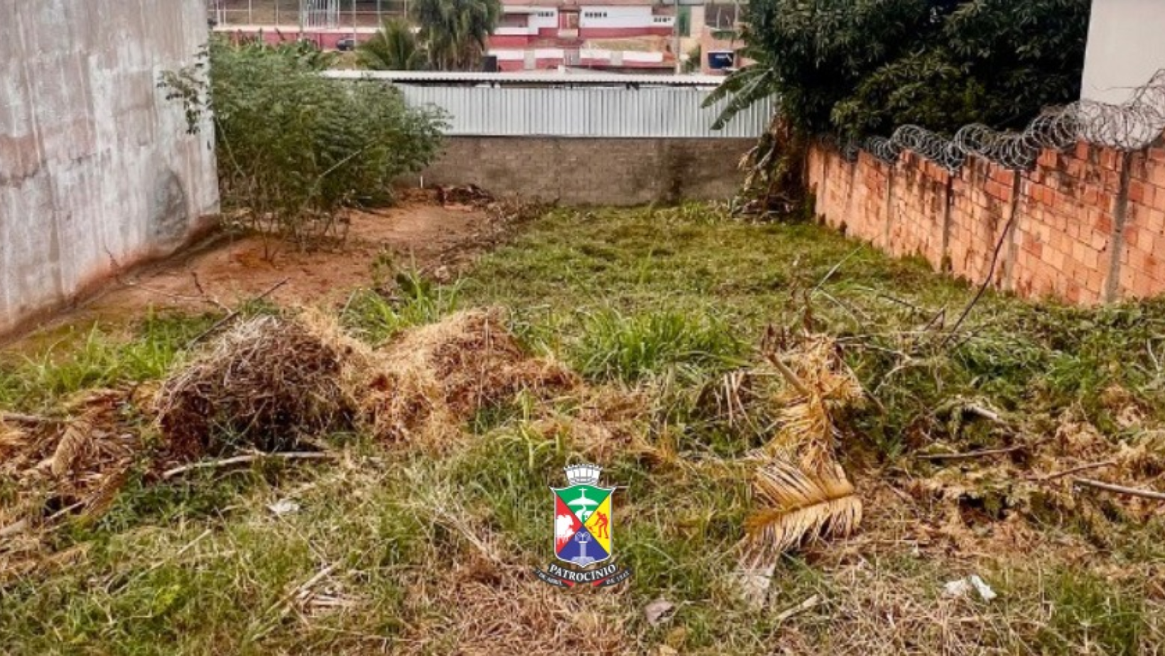 Governo Municipal reforça fiscalização de terrenos e orienta proprietários sobre obrigação permanente de manutenção