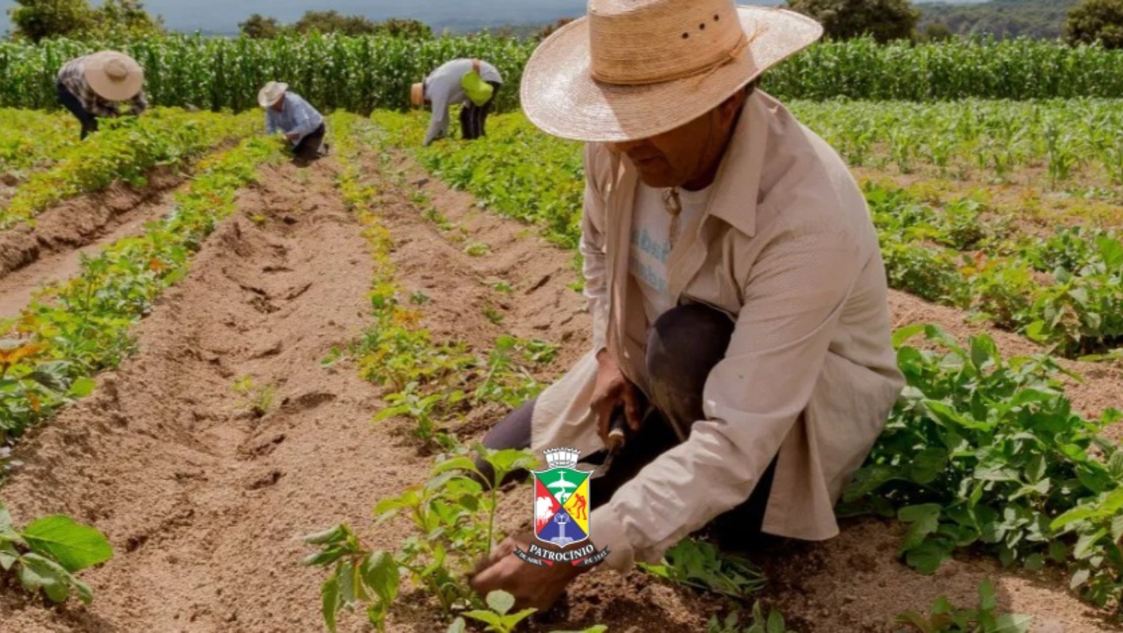Valorização da área rural: investimentos que fortalecem quem produz e impulsionam o desenvolvimento